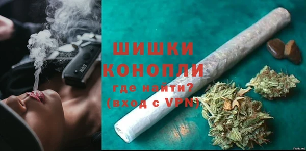 ПСИЛОЦИБИНОВЫЕ ГРИБЫ Белокуриха