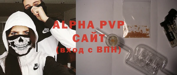 ПСИЛОЦИБИНОВЫЕ ГРИБЫ Белокуриха