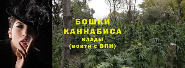 ПСИЛОЦИБИНОВЫЕ ГРИБЫ Белокуриха