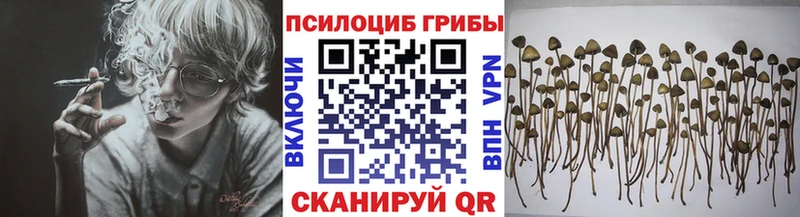 купить наркотик  Урень  площадка официальный сайт  Галлюциногенные грибы мицелий 